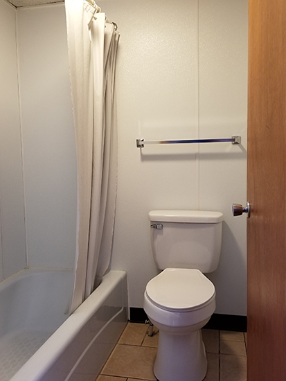 standard room toilet and shower