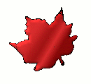 Maple Leaf
