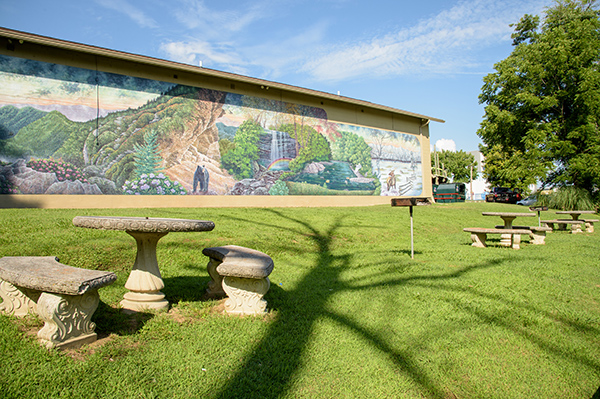 A large mural on the side of a building with outdoor seating and picnic tables in a grassy area.